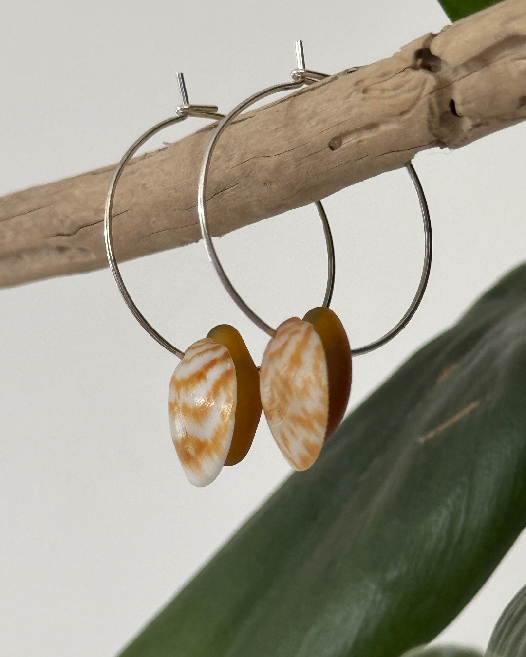 Sea Glass Earrings- Assorted