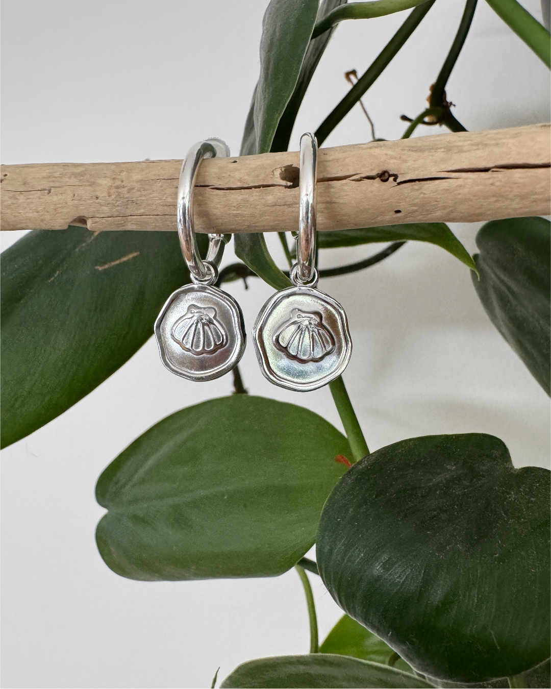 Shell Charm Earrings